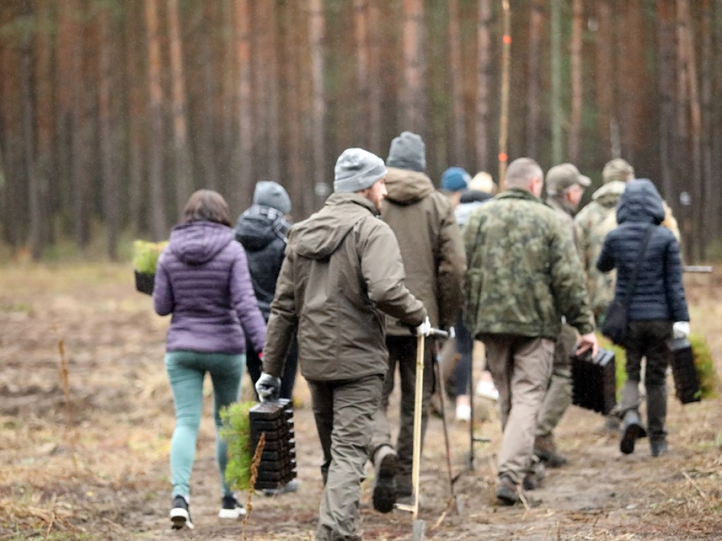 Tutaj był odwiert gazu, teraz rośnie las. I to wszystko z dedykacją dla strażaków ochotników [ZDJĘCIA]
