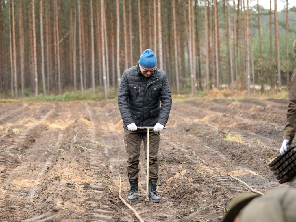 Tutaj był odwiert gazu, teraz rośnie las. I to wszystko z dedykacją dla strażaków ochotników [ZDJĘCIA]