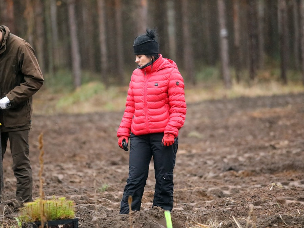 Tutaj był odwiert gazu, teraz rośnie las. I to wszystko z dedykacją dla strażaków ochotników [ZDJĘCIA]