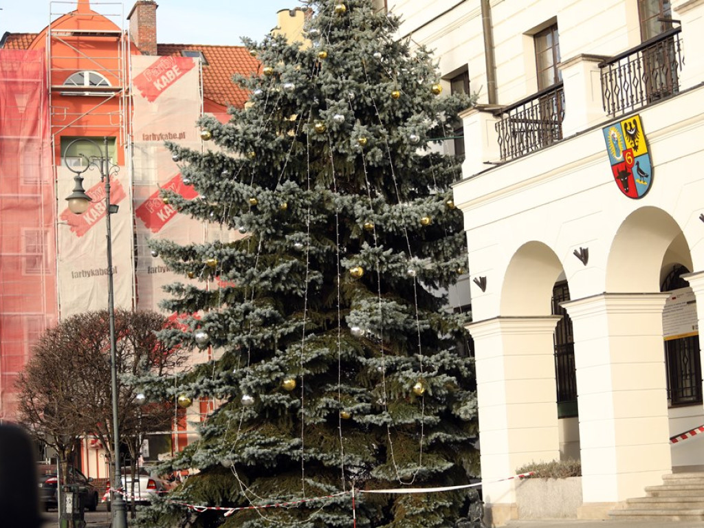 Trwają przygotowania do Dni Świętego Mikołaja! Warto się tam wybrać [ZDJĘCIA]
