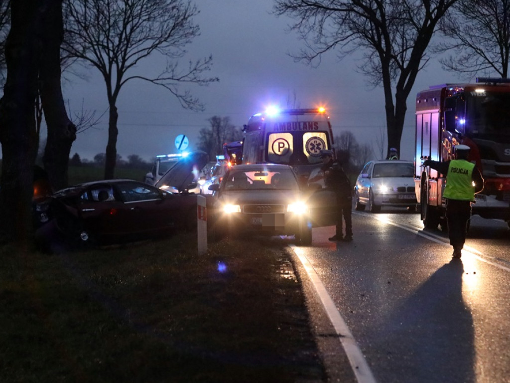 Samochód uderzył w drzewo. Ruch na drodze krajowej jest wahadłowy [ZDJĘCIA]