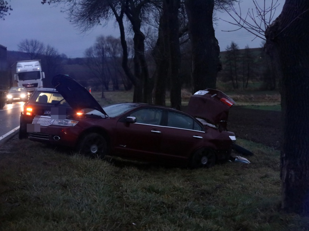 Samochód uderzył w drzewo. Ruch na drodze krajowej jest wahadłowy [ZDJĘCIA]