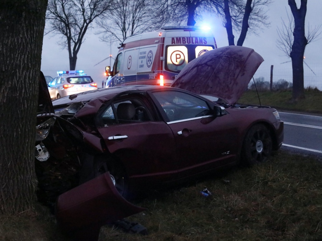 Samochód uderzył w drzewo. Ruch na drodze krajowej jest wahadłowy [ZDJĘCIA]