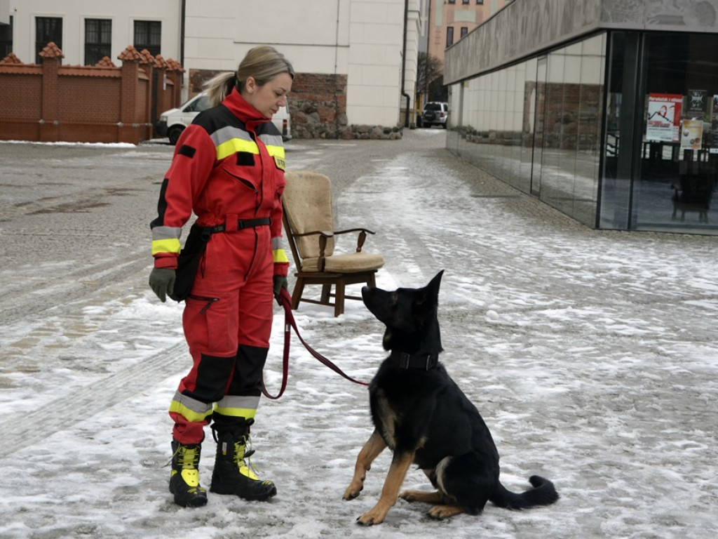 To był pokazowy trening psów szkolonych na ratowników [ZDJĘCIA]