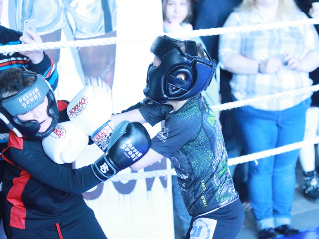 Bokserska gala przyciągnęła wielu zawodników z całej Polski [ZDJĘCIA]