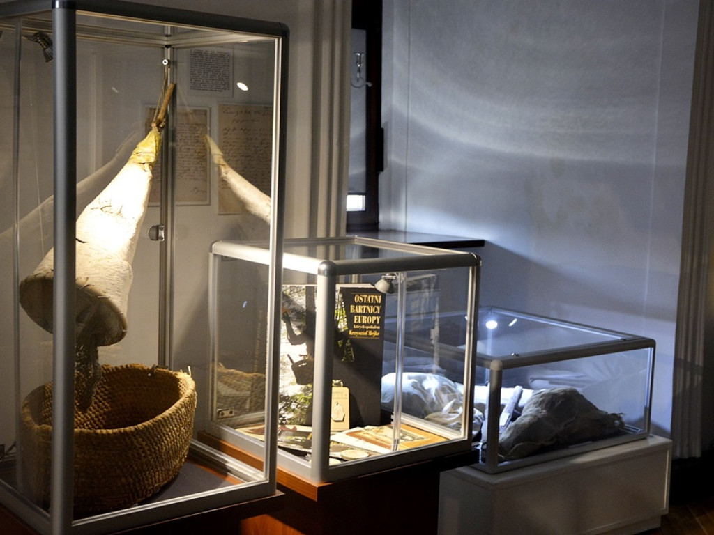 Sekretne życie pszczół i bartników. Taka wystawa w głogowskim muzeum [ZDJĘCIA]