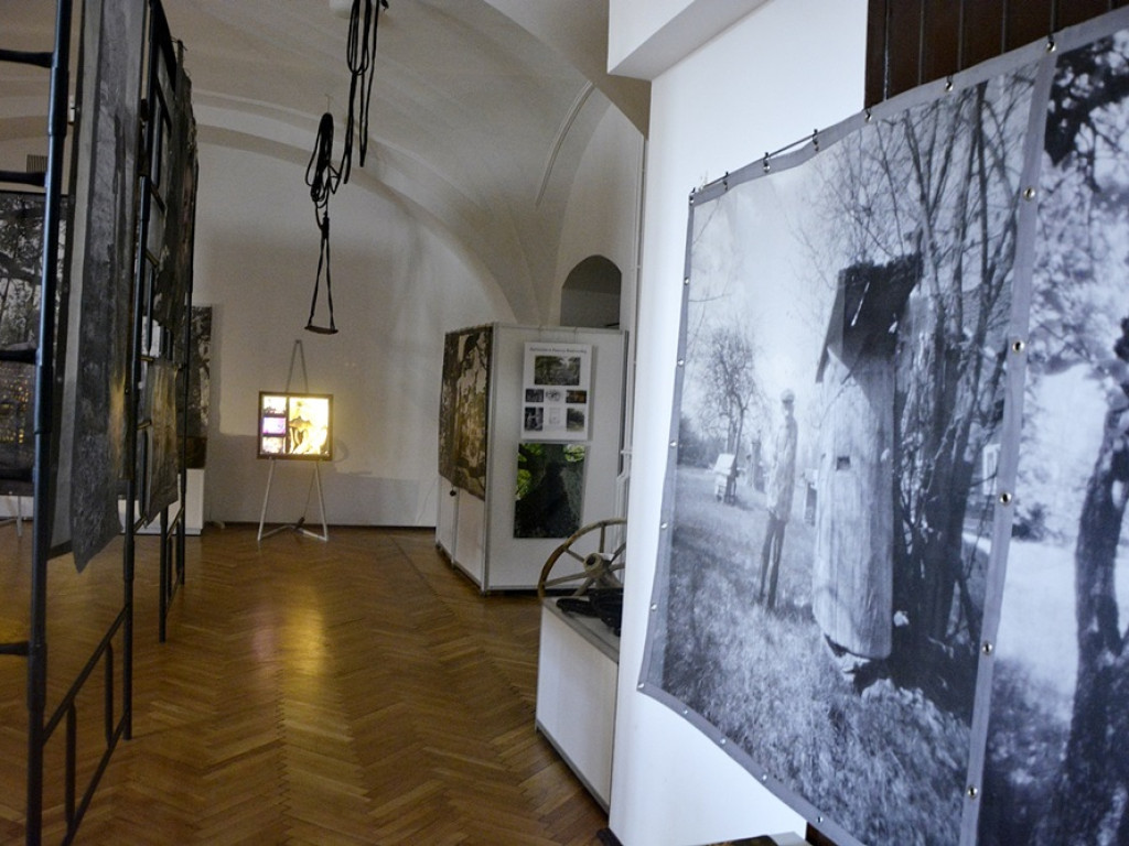 Sekretne życie pszczół i bartników. Taka wystawa w głogowskim muzeum [ZDJĘCIA]