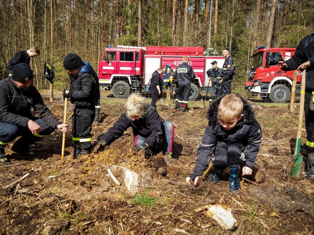 Sadzili las z strażakami ochotnikami. Akcja pod hasłem: Nie tylko gasimy, ale też sadzimy [ZDJĘCIA]
