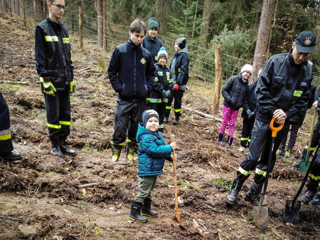 Sadzili las z strażakami ochotnikami. Akcja pod hasłem: Nie tylko gasimy, ale też sadzimy [ZDJĘCIA]