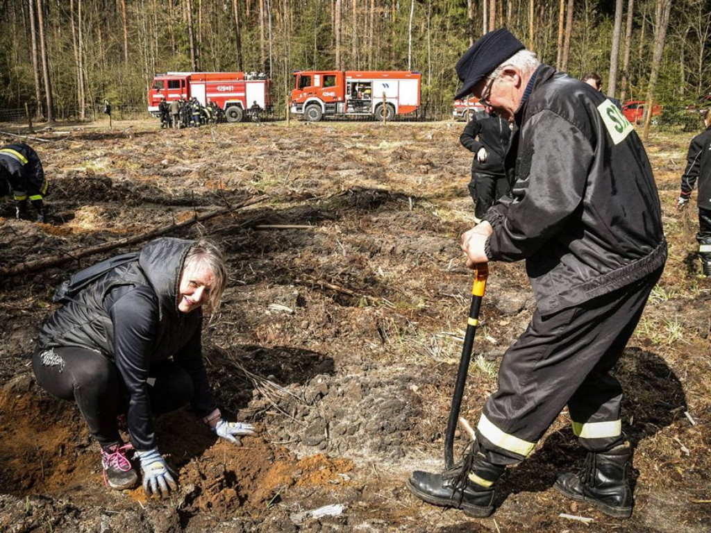 Sadzili las z strażakami ochotnikami. Akcja pod hasłem: Nie tylko gasimy, ale też sadzimy [ZDJĘCIA]