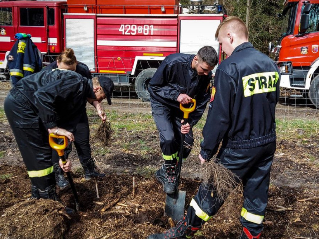 Sadzili las z strażakami ochotnikami. Akcja pod hasłem: Nie tylko gasimy, ale też sadzimy [ZDJĘCIA]