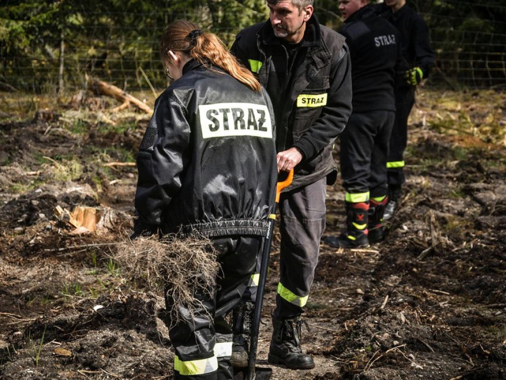 Sadzili las z strażakami ochotnikami. Akcja pod hasłem: Nie tylko gasimy, ale też sadzimy [ZDJĘCIA]