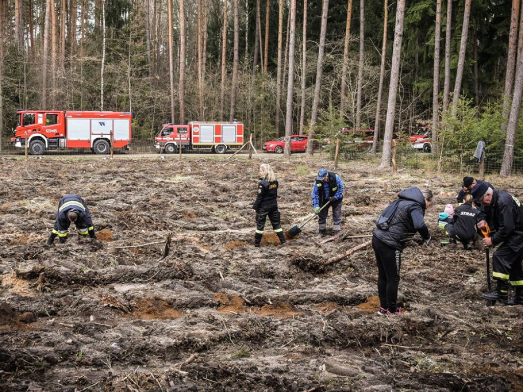 Sadzili las z strażakami ochotnikami. Akcja pod hasłem: Nie tylko gasimy, ale też sadzimy [ZDJĘCIA]