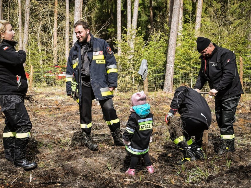 Sadzili las z strażakami ochotnikami. Akcja pod hasłem: Nie tylko gasimy, ale też sadzimy [ZDJĘCIA]