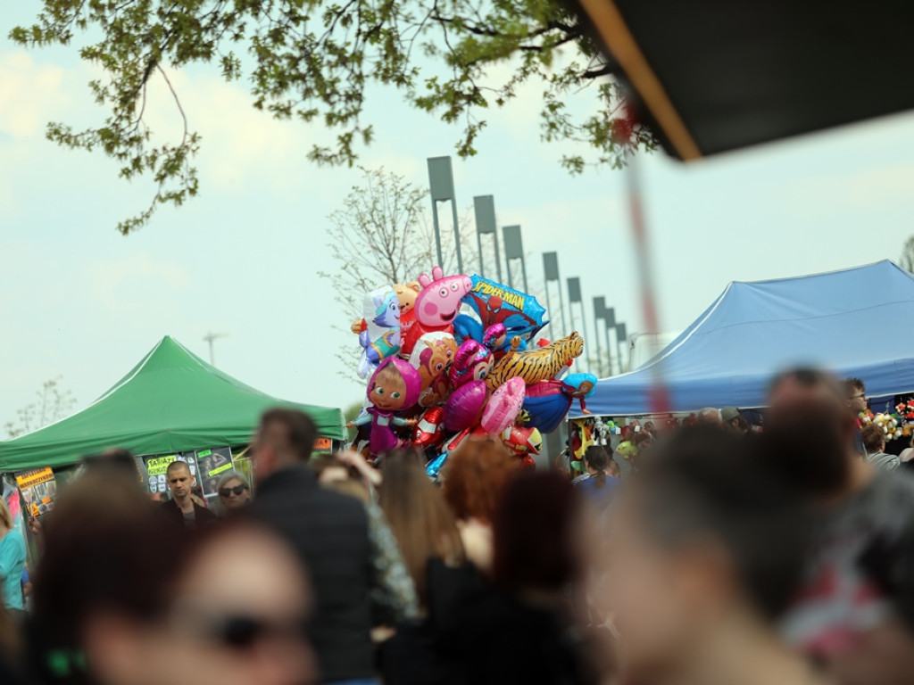 Tłumy na Festiwalu Smaków Świata. Trzeba było dowozić przedwojennego piwa z Głogowa [ZDJĘCIA]