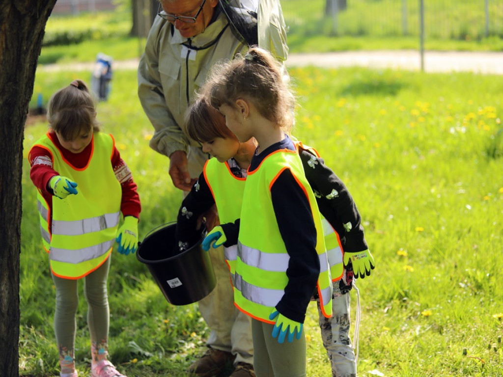 Przedszkolaki posiały kwietną łąkę. Ule i pszczoły w centrum miasta? To możliwe [ZDJĘCIA]