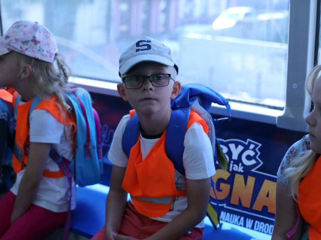 Warsztaty wiedzy pod ratuszem. Tłumy dzieci u Ignacego [ZDJĘCIA]