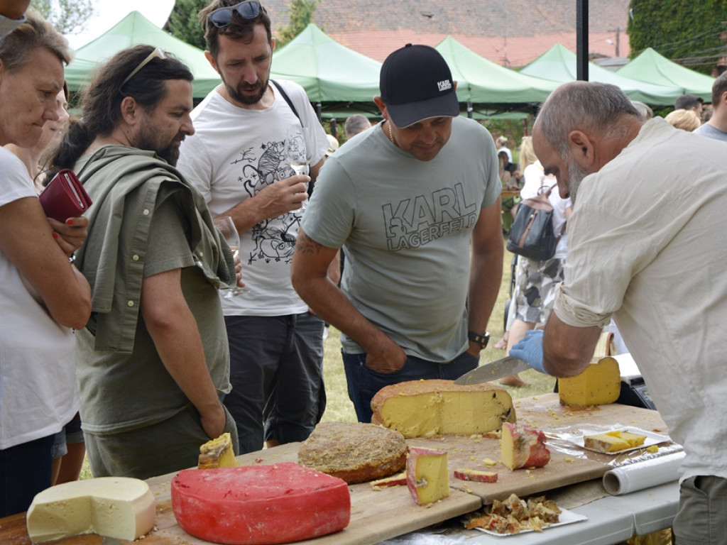Festiwal wina w Dalkowie [Zdjęcia]