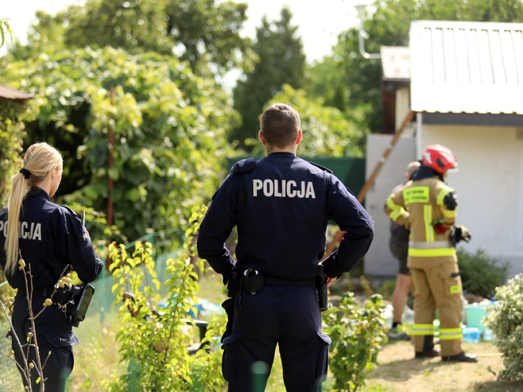 Pożar altanki na działkach ogrodowych w centrum Głogowa [ZDJĘCIA]