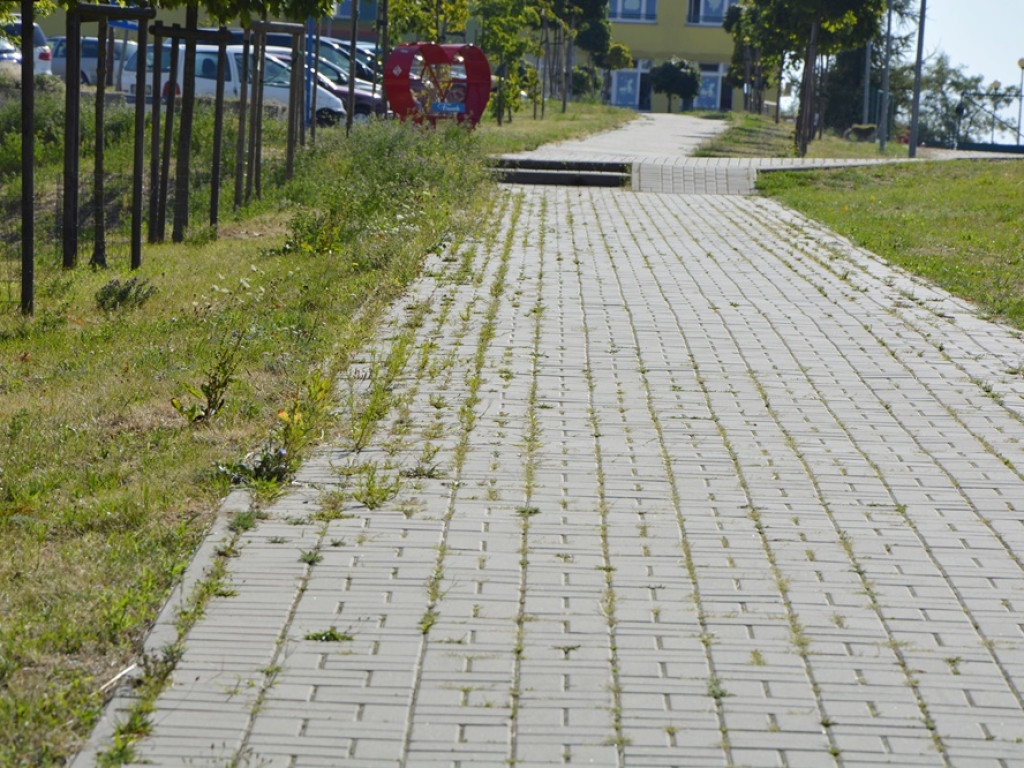 Zarośnięty plac Mieszka I