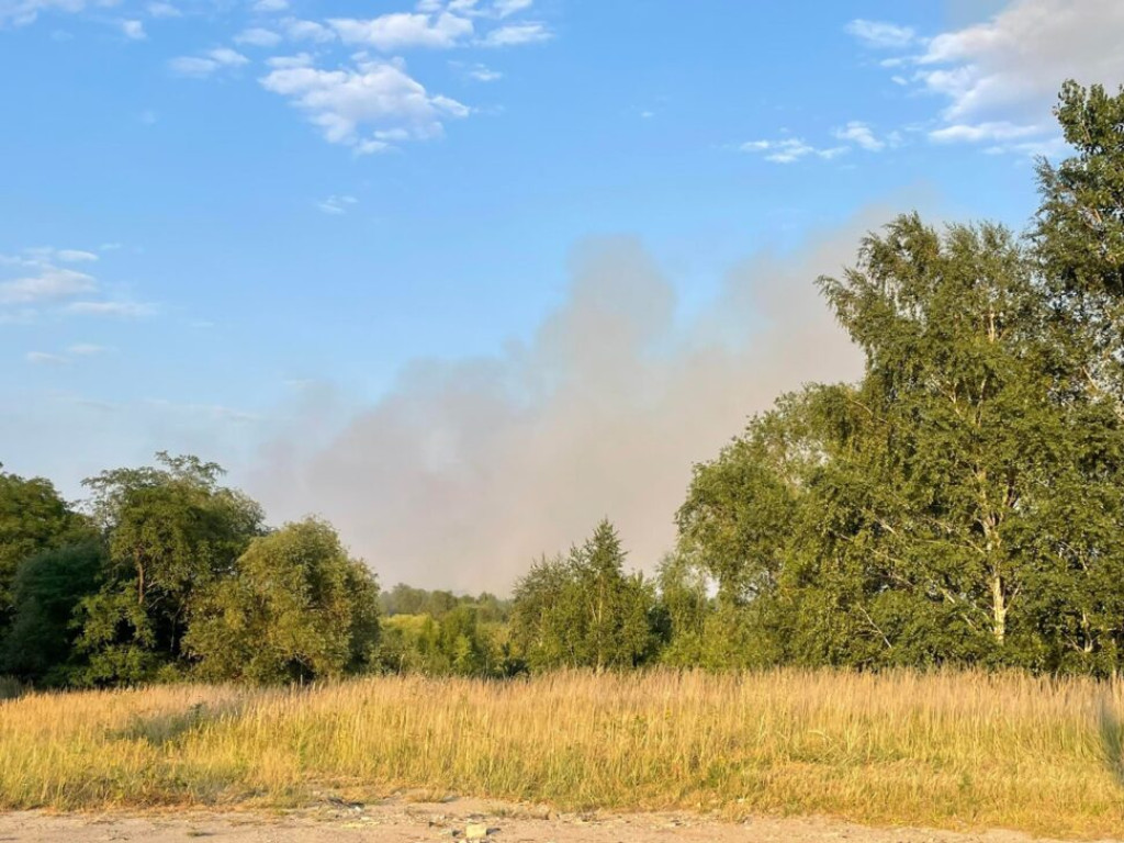 Pożar koło huty. Płoną trawy [Zdjęcia]
