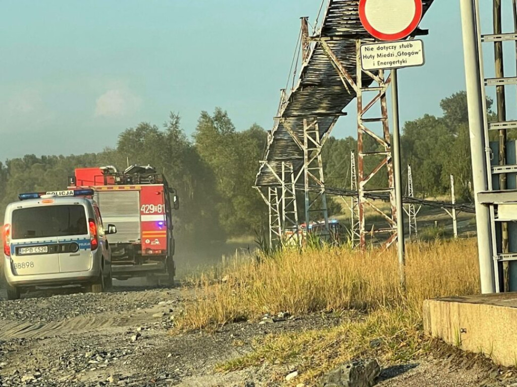 Pożar koło huty. Płoną trawy [Zdjęcia]
