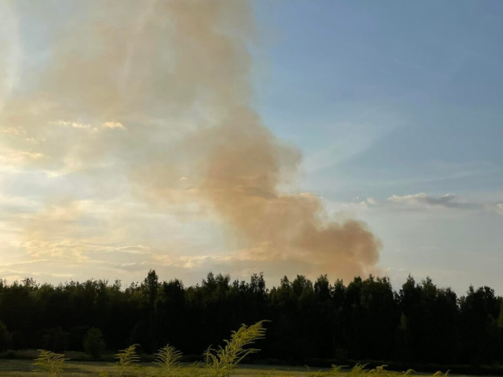 Pożar koło huty. Płoną trawy [Zdjęcia]