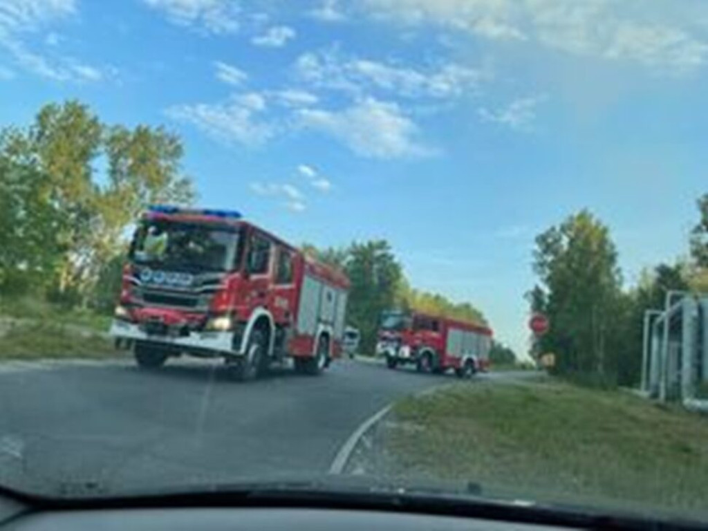 Pożar koło huty. Płoną trawy [Zdjęcia]