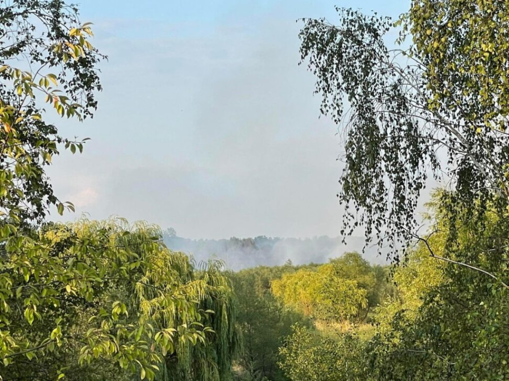 Pożar koło huty. Płoną trawy [Zdjęcia]