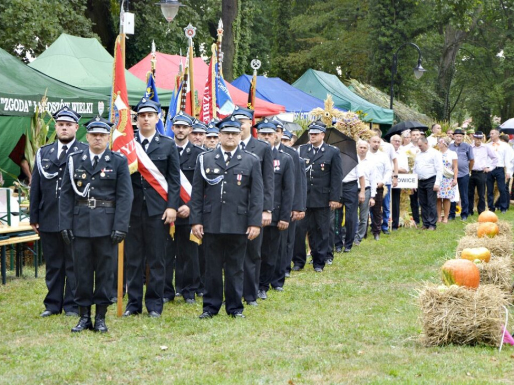 Nawet deszcz nie popsuje dożynek. Radwanice świętują [Zdjęcia]