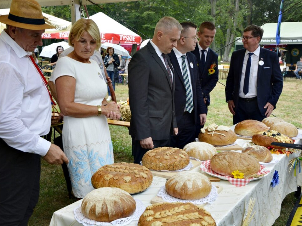 Nawet deszcz nie popsuje dożynek. Radwanice świętują [Zdjęcia]