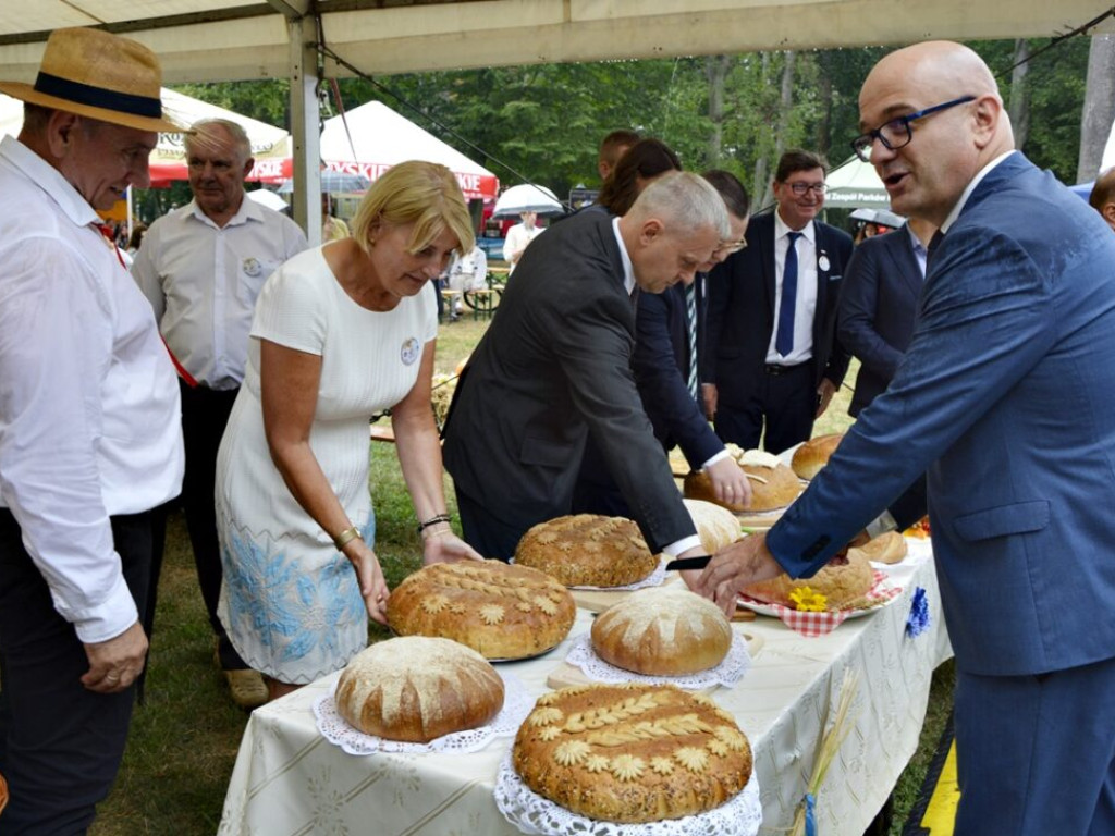 Nawet deszcz nie popsuje dożynek. Radwanice świętują [Zdjęcia]