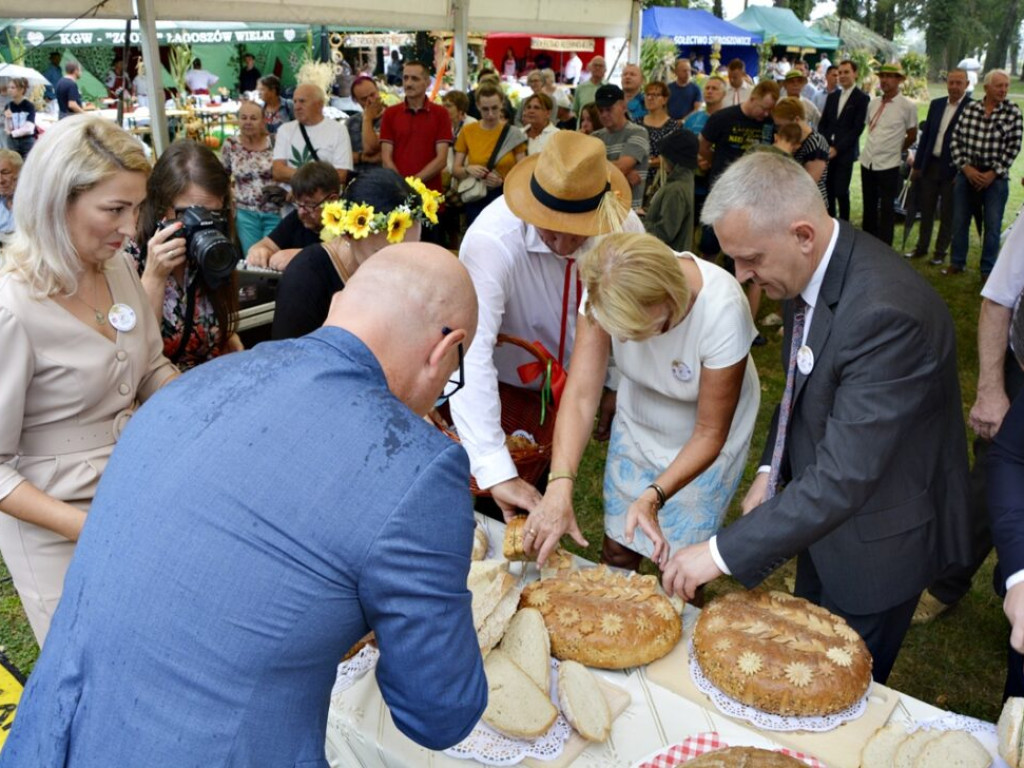 Nawet deszcz nie popsuje dożynek. Radwanice świętują [Zdjęcia]
