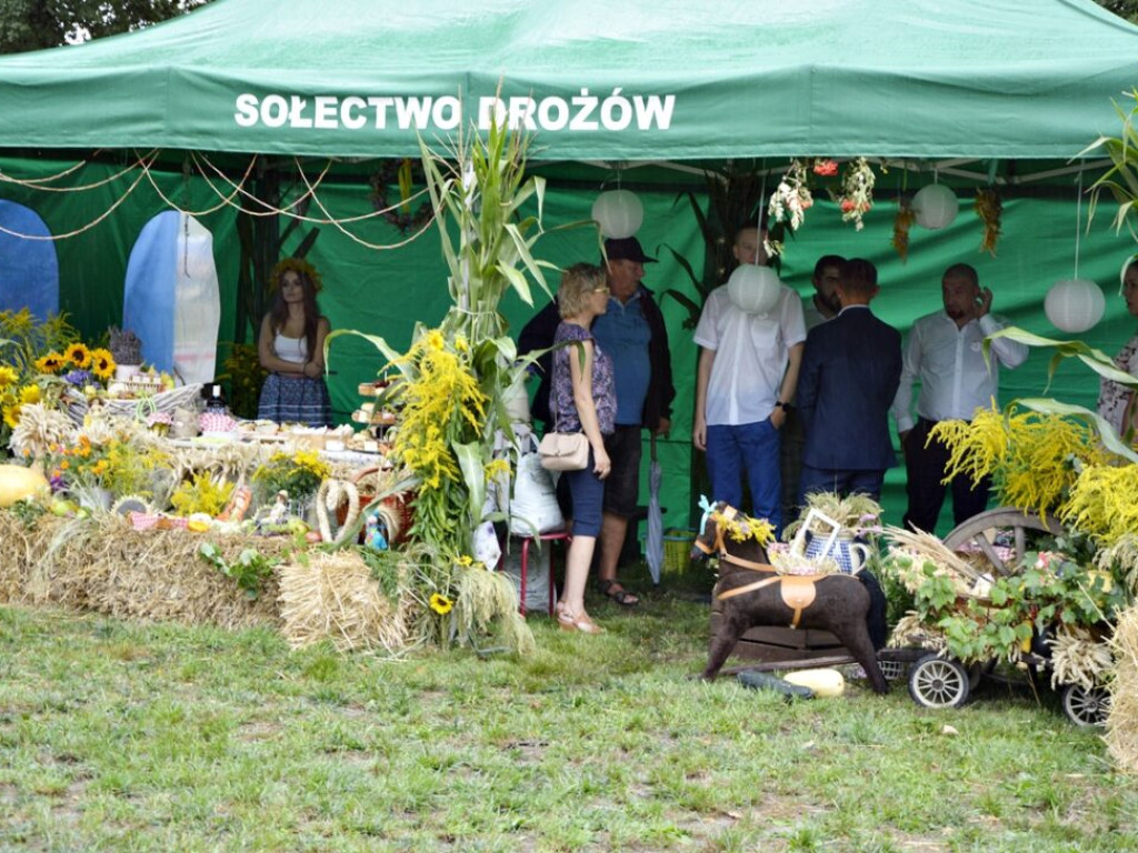 Nawet deszcz nie popsuje dożynek. Radwanice świętują [Zdjęcia]