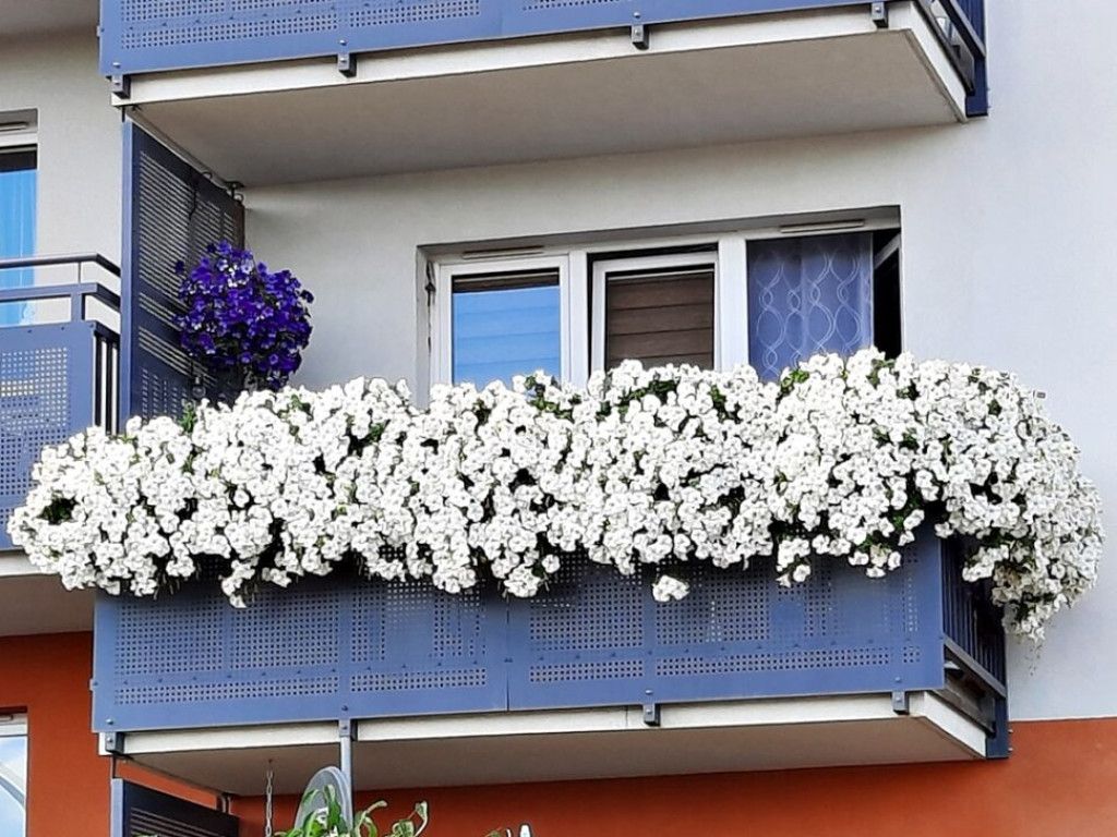 Tak wyglądają najładniejsze balkony w Głogowie [Zdjęcia]
