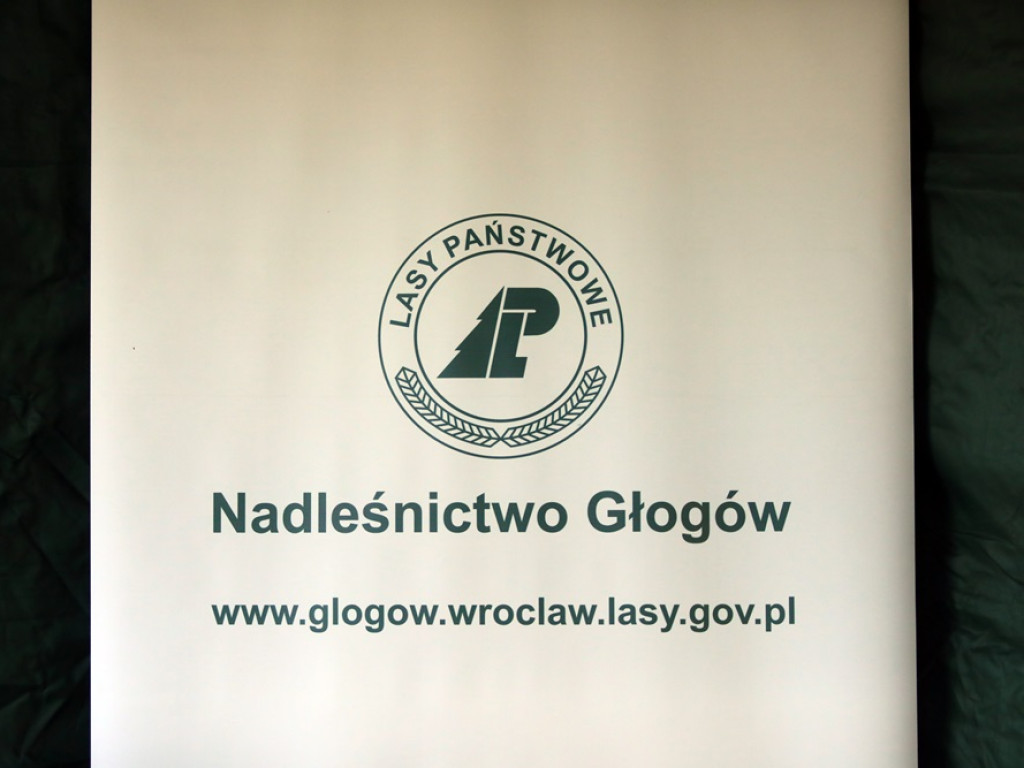 Posadź swoje drzewko! Kolejki chętnych ustawiają się po sadzonki [ZDJĘCIA]