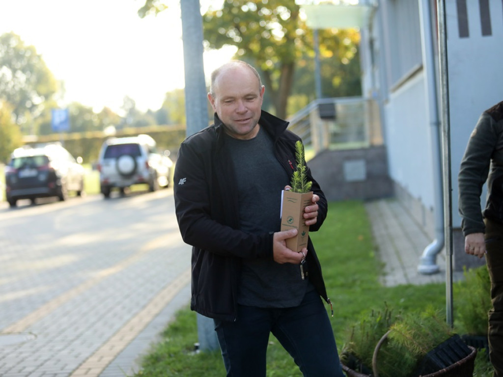 Posadź swoje drzewko! Kolejki chętnych ustawiają się po sadzonki [ZDJĘCIA]