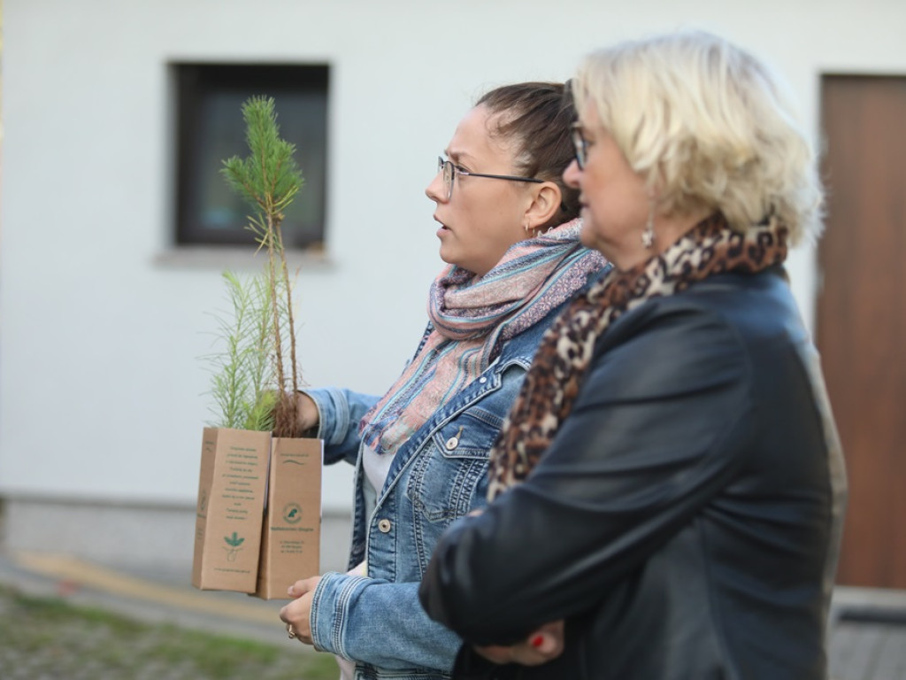 Posadź swoje drzewko! Kolejki chętnych ustawiają się po sadzonki [ZDJĘCIA]