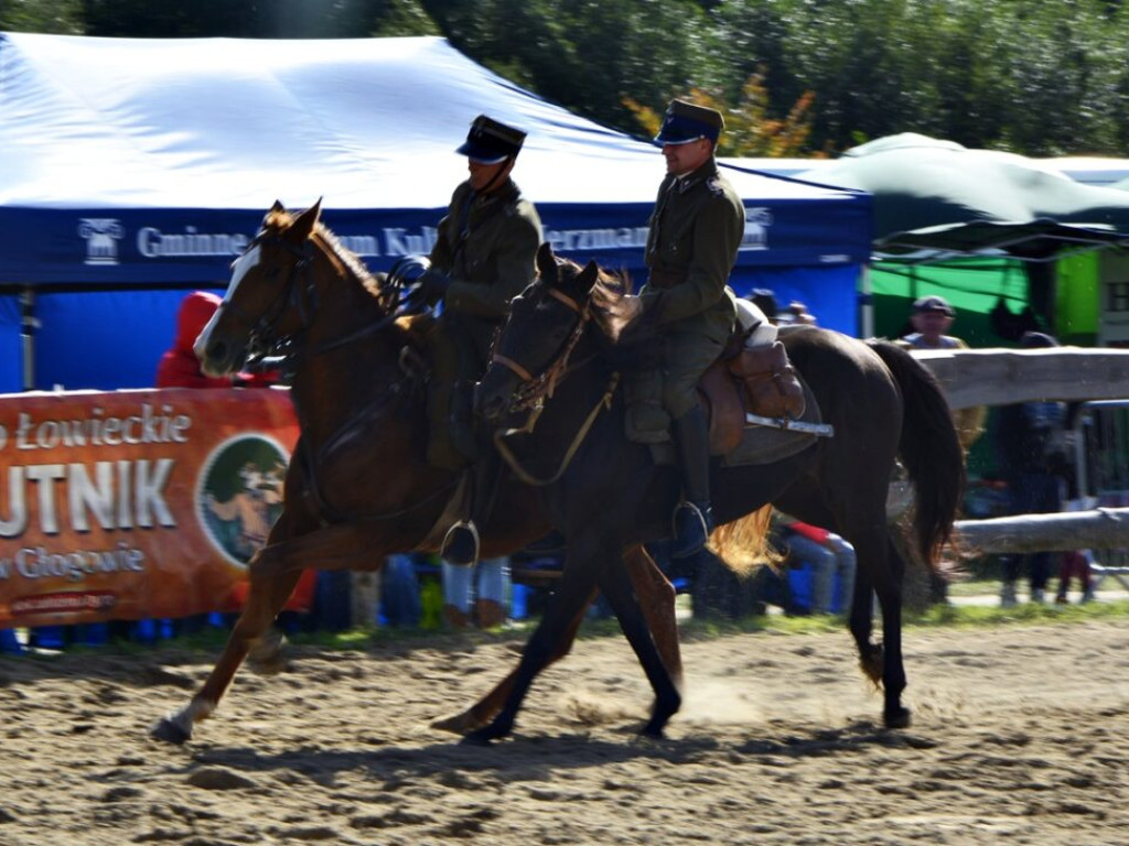 Pokazy, zawody, a wszystko w siodle [Zdjęcia]