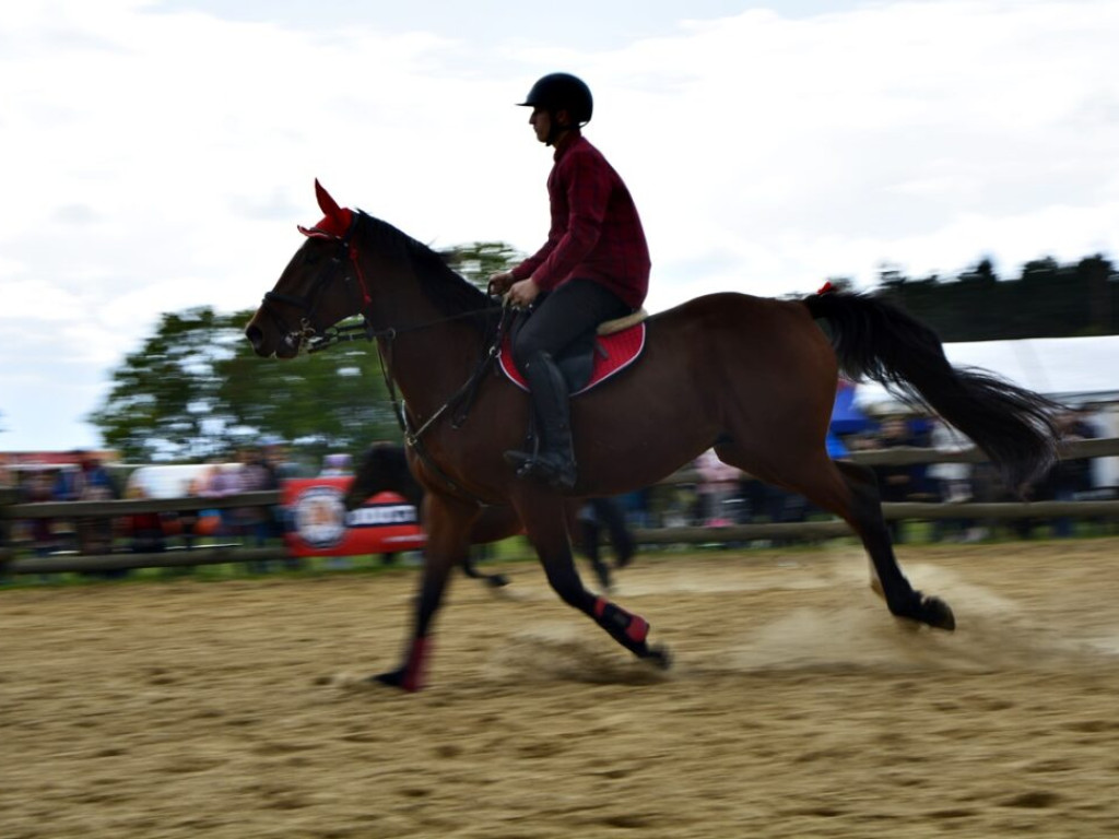 Pokazy, zawody, a wszystko w siodle [Zdjęcia]