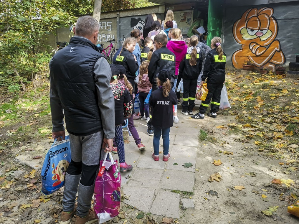 Dzieci z OSP wyprowadziły psy na spacer, ale i przyniosły im karmę [ZDJĘCIA]