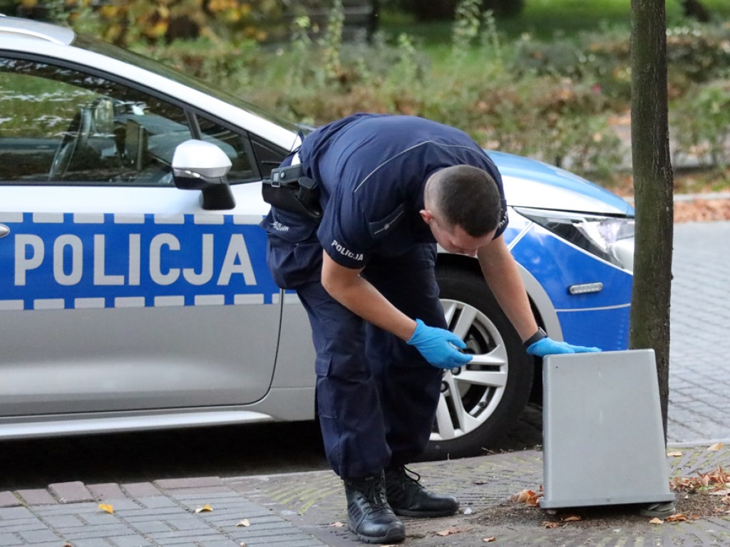 Znaleźli węża w centrum miasta. Tuż przy przystanku autobusowym [ZDJĘCIA]