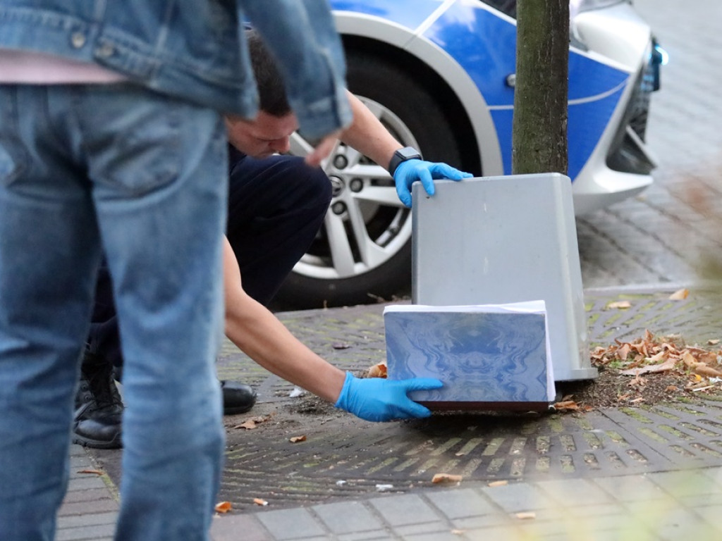 Znaleźli węża w centrum miasta. Tuż przy przystanku autobusowym [ZDJĘCIA]