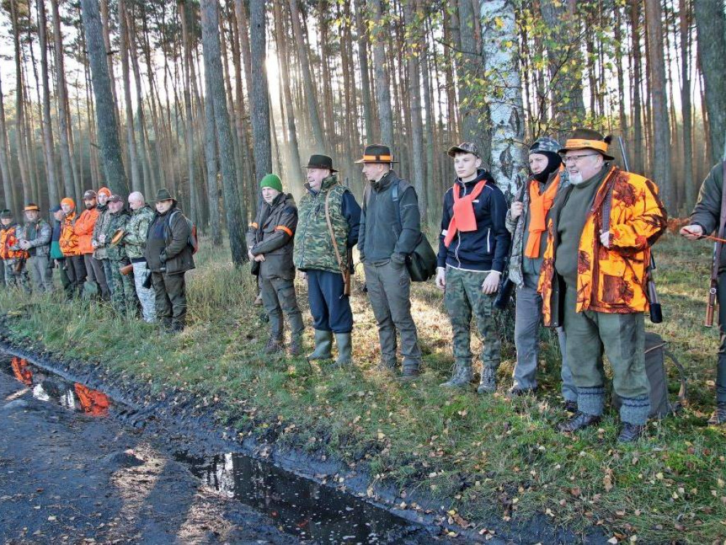 Rozpoczęły się zbiorowe polowania [Zdjęcia]