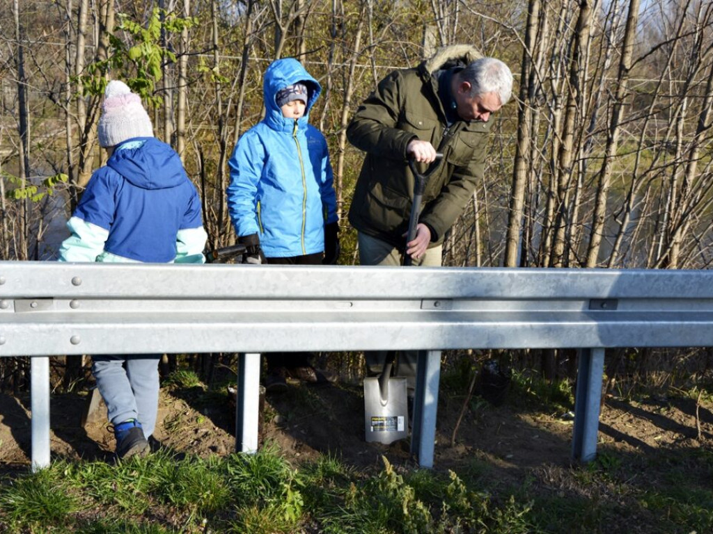 Pół tysiąca drzew dla Głogowa od Arra Group. Tak firma obchodziła jubileusz [Zdjęcia]