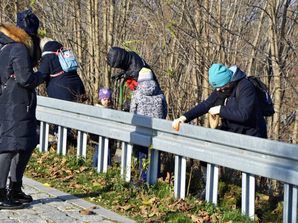 Pół tysiąca drzew dla Głogowa od Arra Group. Tak firma obchodziła jubileusz [Zdjęcia]