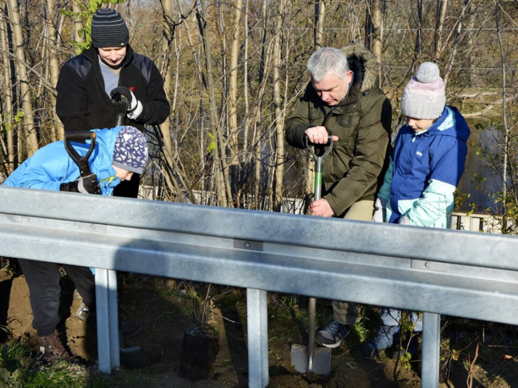 Pół tysiąca drzew dla Głogowa od Arra Group. Tak firma obchodziła jubileusz [Zdjęcia]