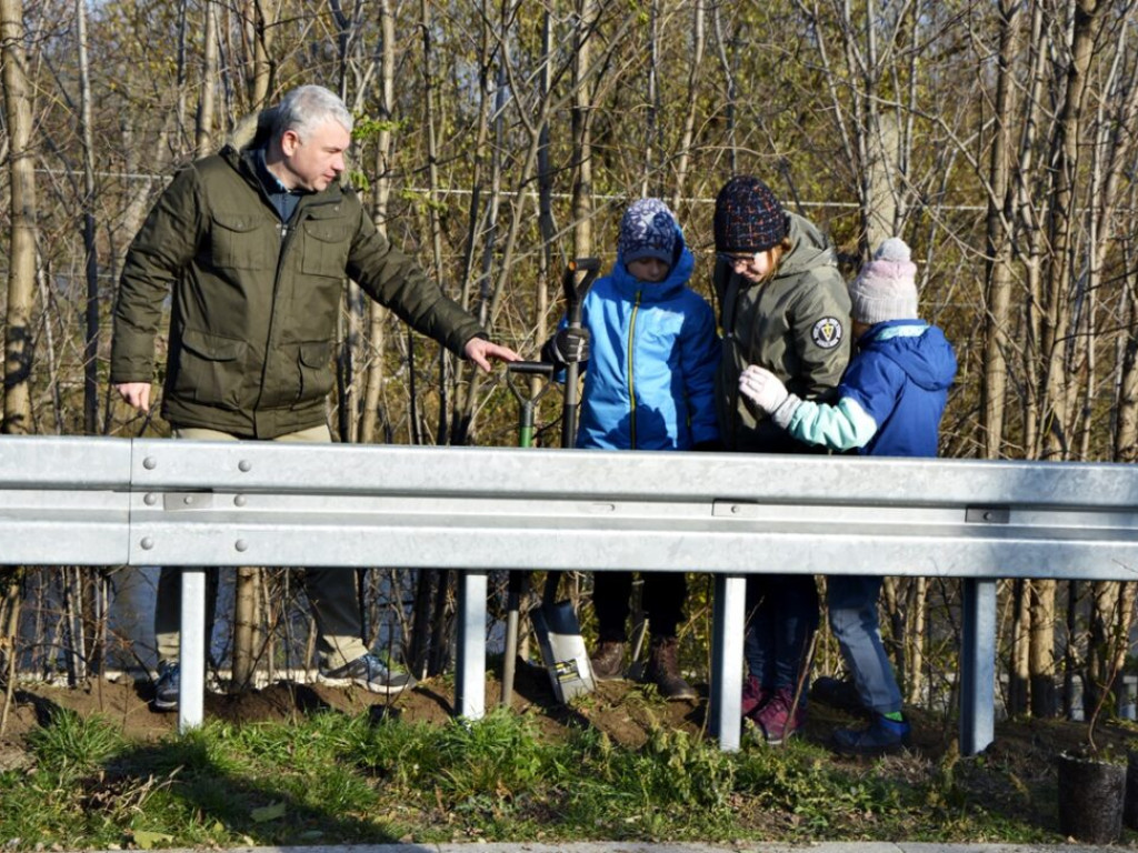 Pół tysiąca drzew dla Głogowa od Arra Group. Tak firma obchodziła jubileusz [Zdjęcia]