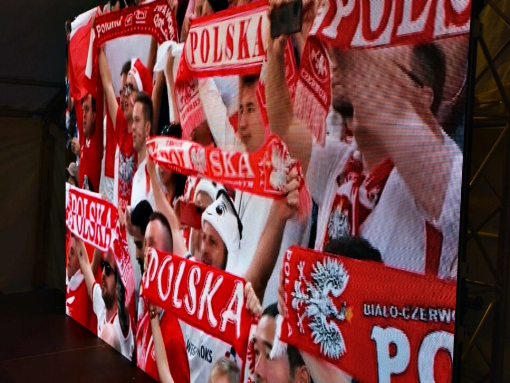 Przegrana 1:3 z Francją. Głogowianie kibicowali do końca! [Zdjęcia]