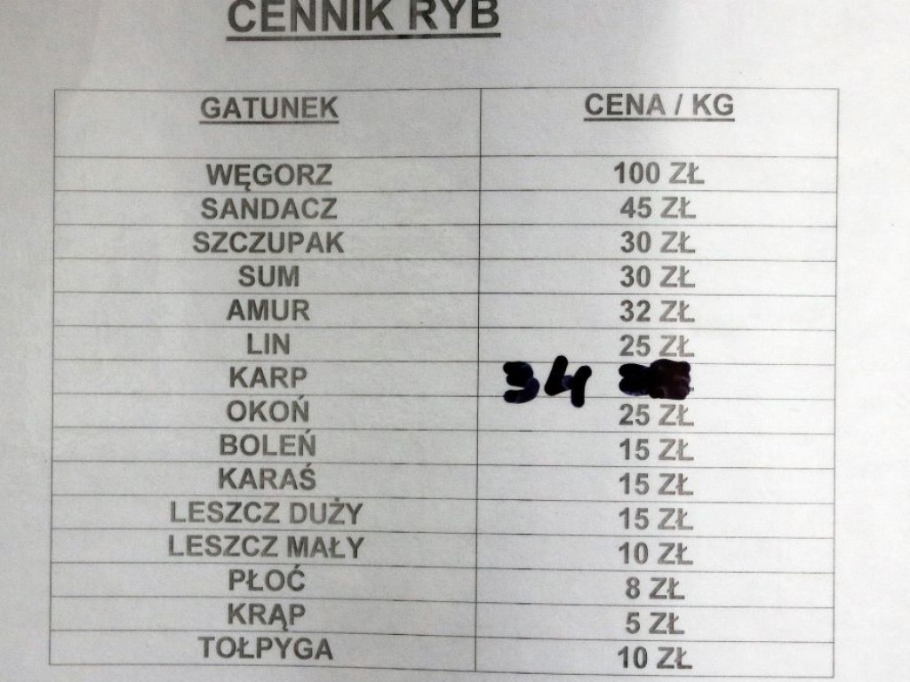 Karpie, szczupaki i okonie. W Sławie ustawiają się za nimi kolejki. Za ile sprzedają ryby?